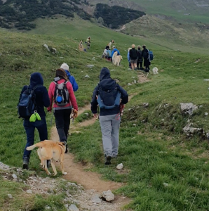 Scopri di più sull'articolo Il benessere di una passeggiata